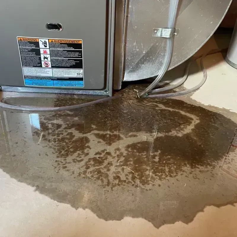 Appliance Leak Cleanup in Rand, WV